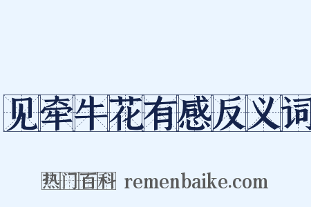 见牵牛花有感反义词是什么意思的图片